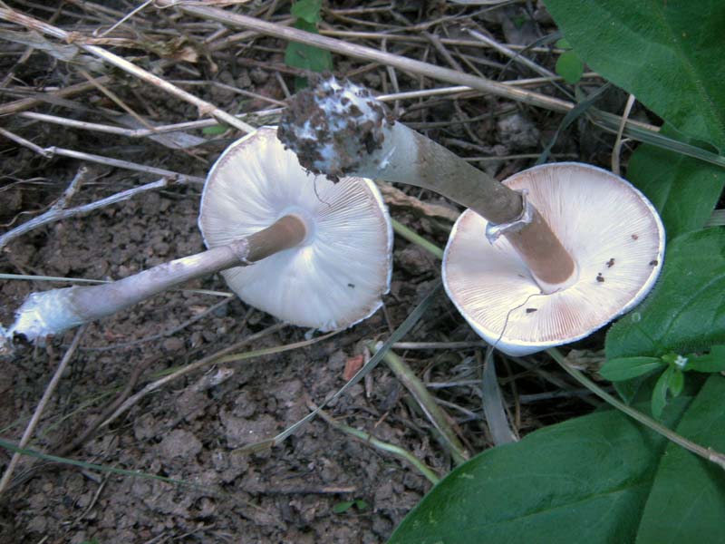 6.06.2010-169.jpg