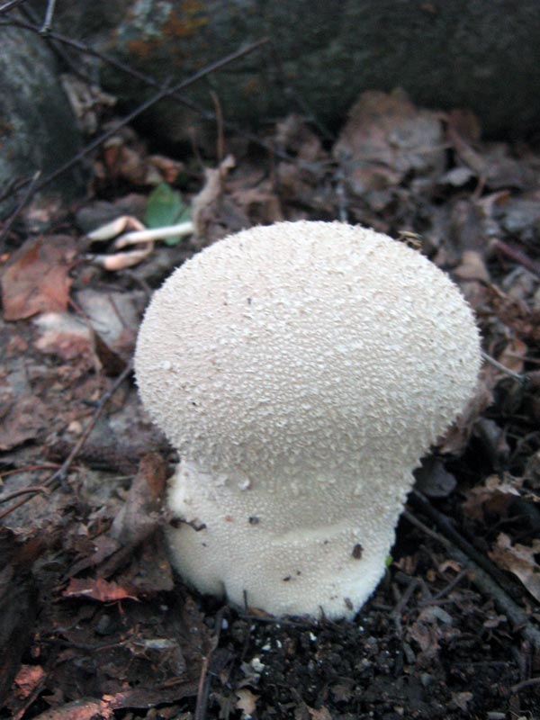 6.06.2010-223.jpg