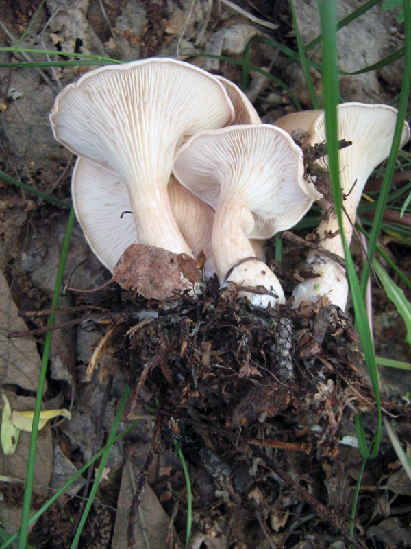 6.06.2010-230.jpg