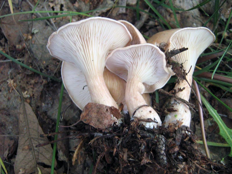 6.06.2010-232.jpg