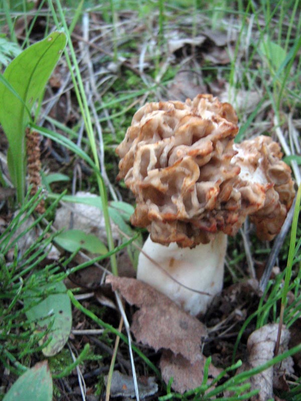 7.06.2010-019.jpg