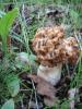7.06.2010-019_t1.jpg