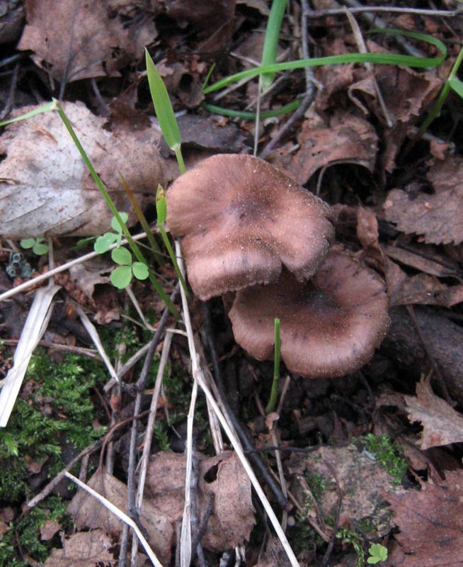 7.06.2010-027.jpg