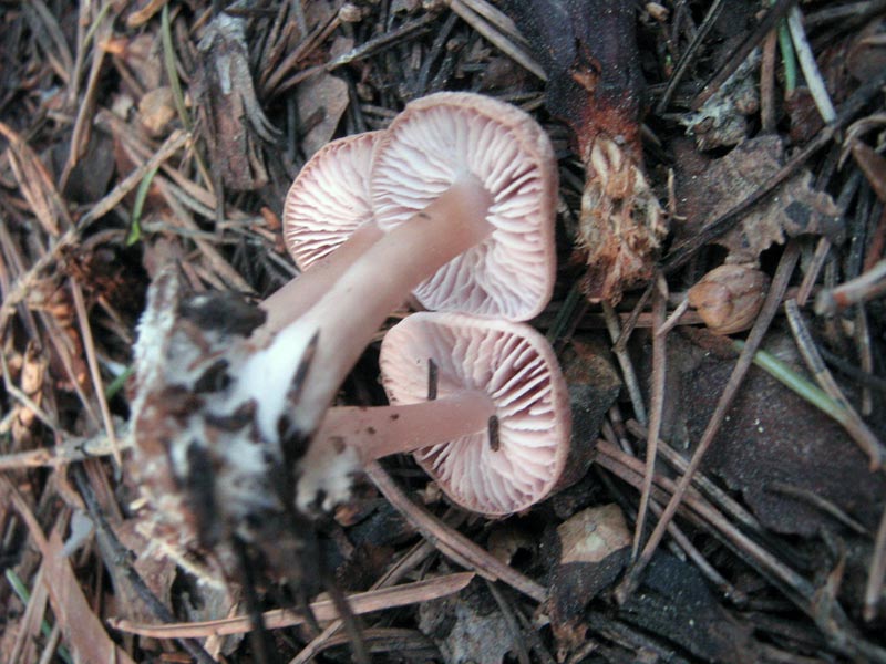 7.06.2010-092.jpg