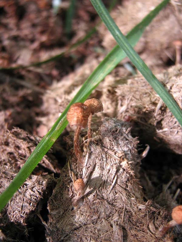 7.06.2010-134.jpg