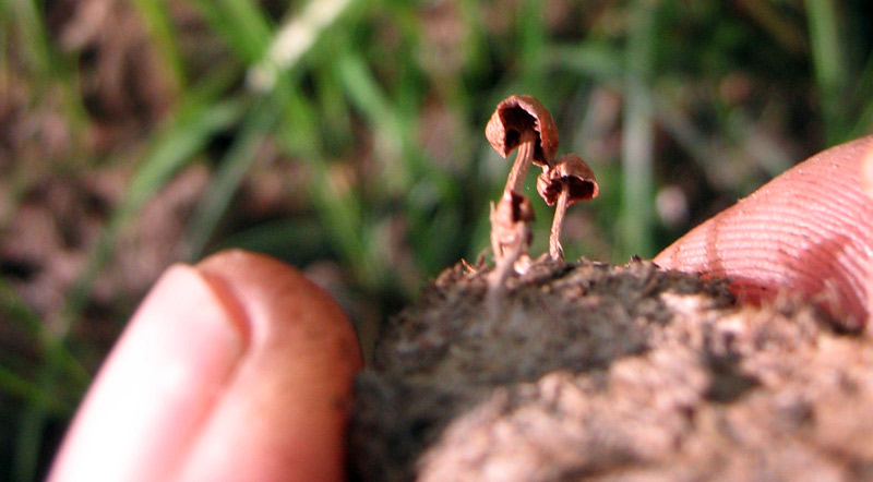 7.06.2010-136.jpg