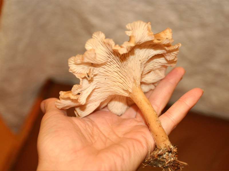 801_1.jpg