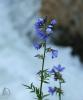 050636_t1.jpg