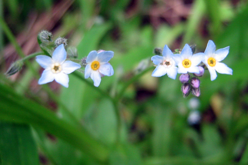 1.06.2010-074.jpg