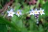 1.06.2010-074_t1.jpg