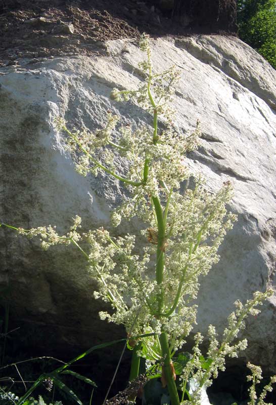 11.06.2010-109.jpg