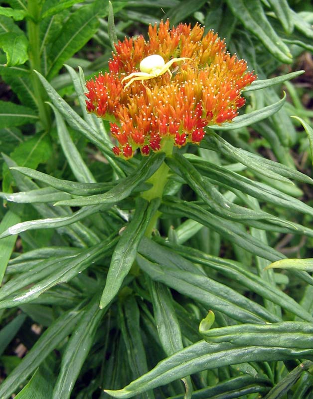 16.06.2010-445.jpg