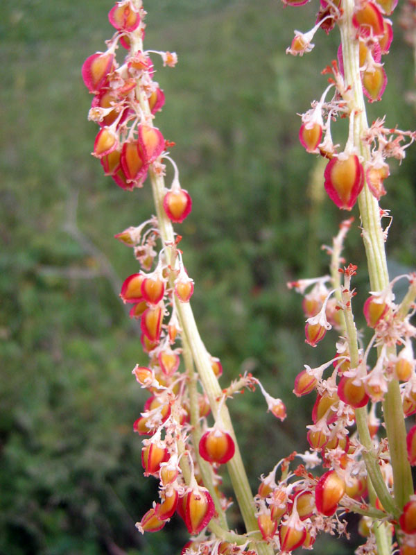 18.06.2010-123.jpg