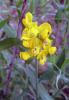 18.06.2010-138_t1_1.jpg