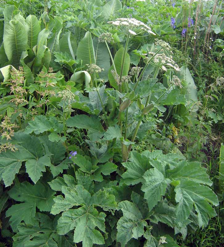18.06.2010-151.jpg