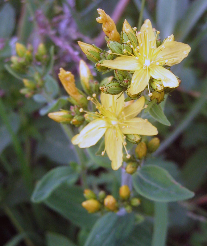 18.06.2010-159.jpg