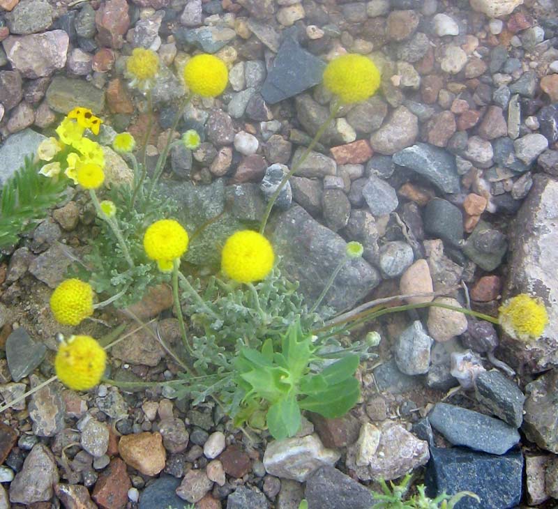 4.06.2010-032.jpg