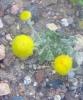 4.06.2010-036_t1.jpg
