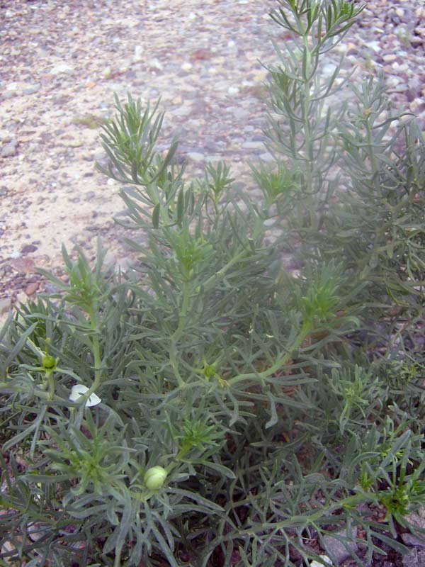 4.06.2010-158.jpg