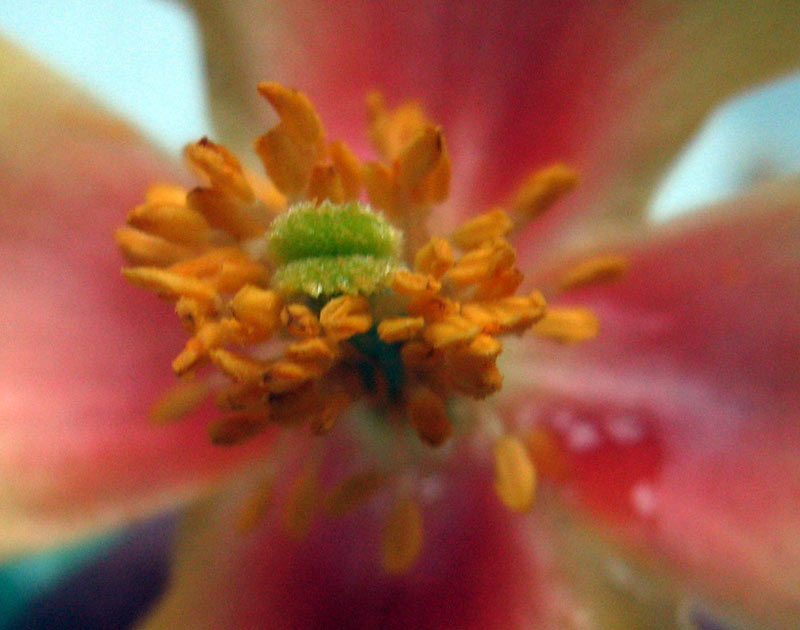 58129_dfc24641.jpg