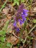 dsc02182_t1.jpg
