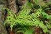 dsc02193_t1.jpg
