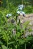dsc02359_t1.jpg