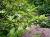 dsc02374_t1.jpg