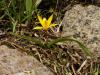 dsc02403_t1.jpg