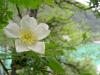 dscn8742_t1.jpg