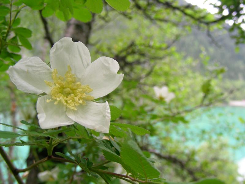 dscn8742.jpg