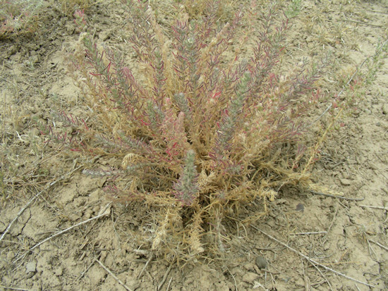 dscn9020.jpg