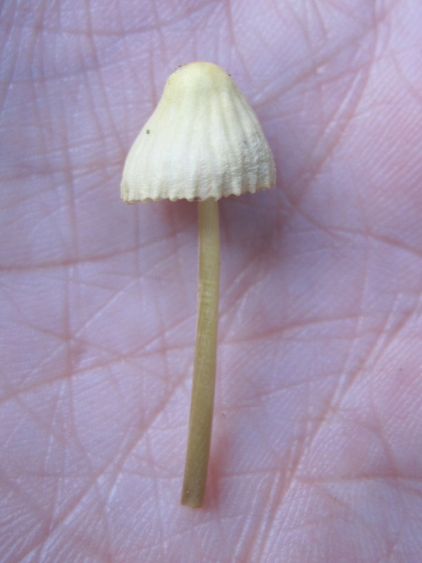 156_1.jpg