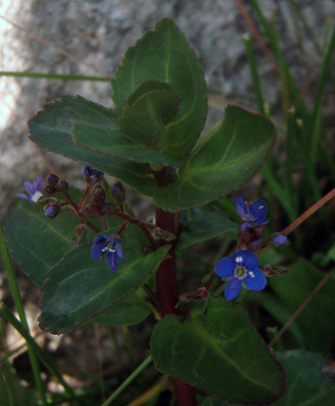 7.07.2010-060.jpg