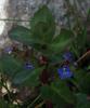 7.07.2010-060_t1.jpg