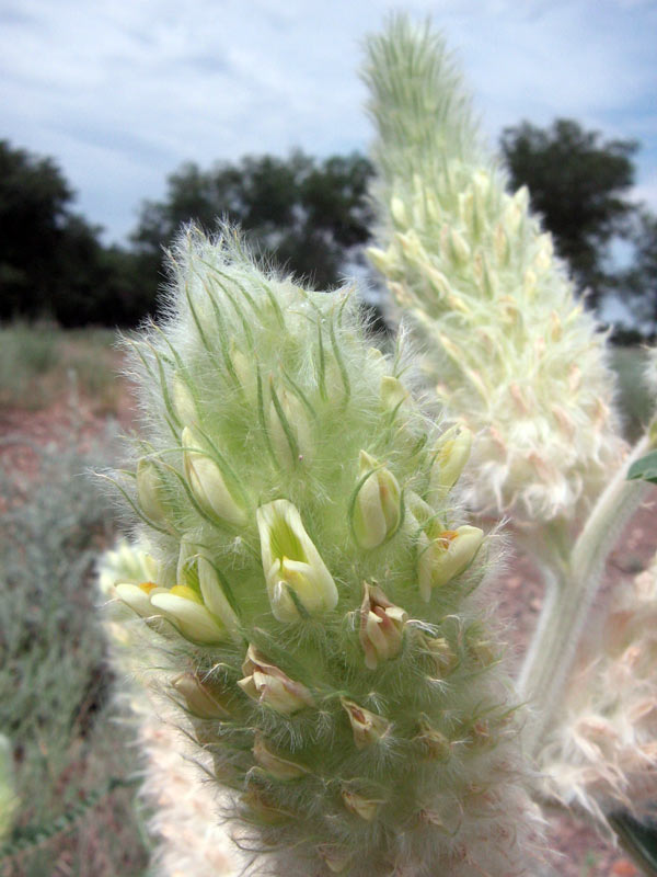 73035_1913e693.jpg