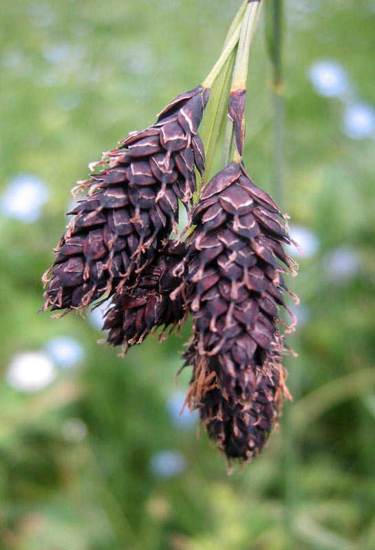 73088_f98bfd46.jpg
