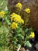 dsc02718_t1.jpg