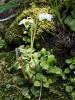 dsc02743_t1.jpg