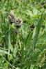 dsc02778_t1.jpg