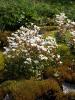 dsc02788_t1.jpg