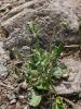dsc02798_t1.jpg