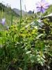 dsc02823_t1.jpg