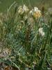 dsc02831_t1.jpg