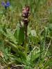 dsc02843_t1.jpg