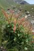dsc02845_t1.jpg