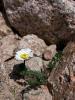 dsc02850_t1.jpg