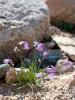 dsc02860_t1.jpg