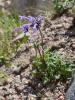 dsc02864_t1.jpg