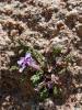 dsc02873_t1.jpg